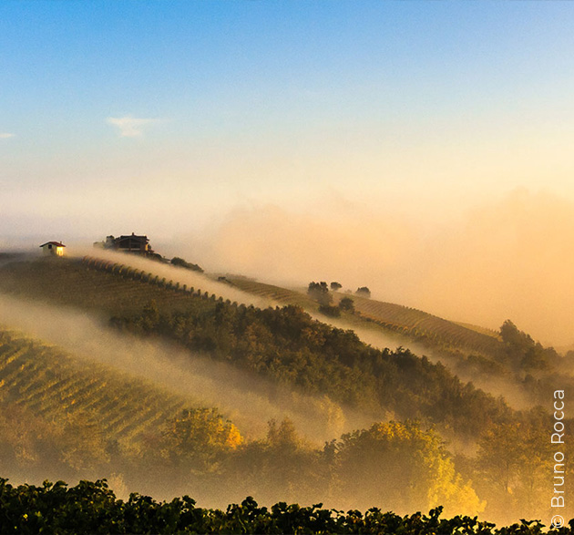 Barolo and Barbaresco