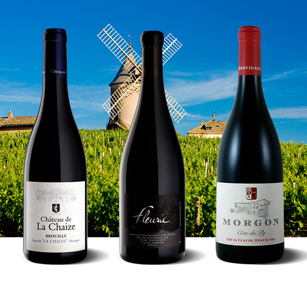 Beaujolais – Frankreichs am meisten unterschätztes Terroir-Juwel