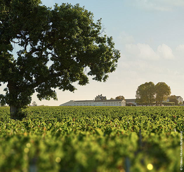 Chateau Mouton Rothschild