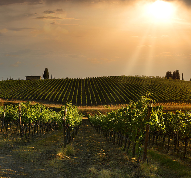 Mythos Chianti: Warum das ‚Classico‘ den Unterschied macht