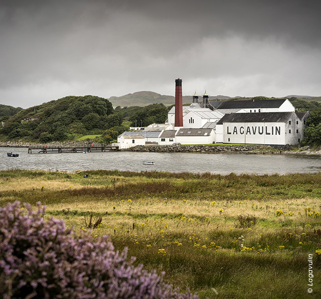 lagavulin-distillerie