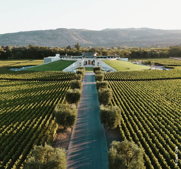 Opus One – Napa Valley-Legende im Bordeaux-Stil