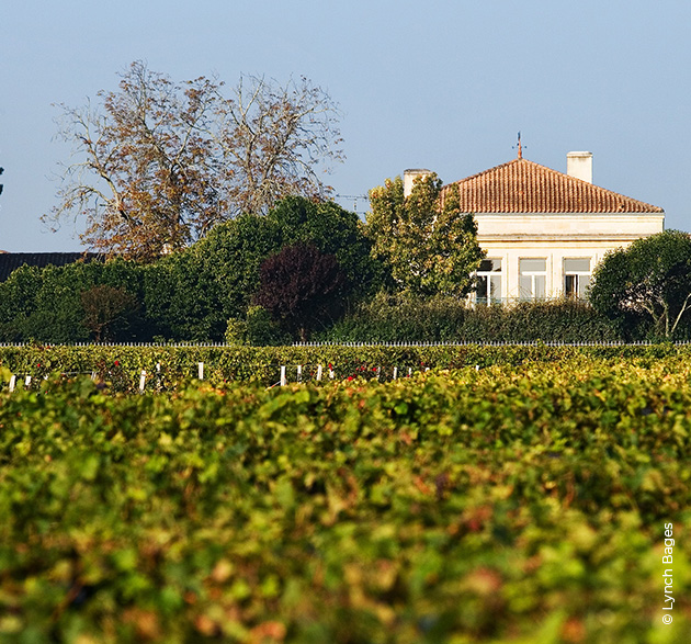 Die Weinregion Pauillac: Juwel des Bordeaux