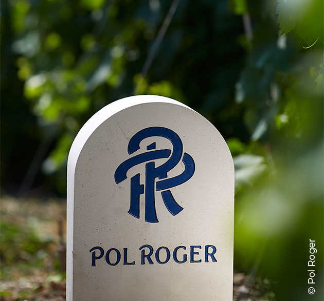 Pol Roger Champagner