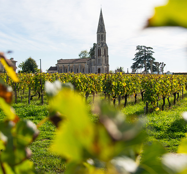 Pomerol für Sammler: 3 Geheimtipps mit hohem Preis-Genuss-Verhältnis