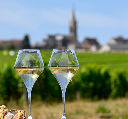 Zwei gefüllte Weißweingläser in den Weinbergen von Pouilly-Fumé, bei Pouilly-sur-Loire in Frankreich
