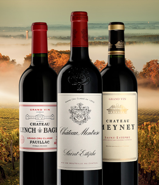 Best Bordeaux Wines