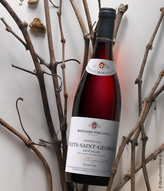 Bouchard Père & Fils – Nuits-Saint-Georges Premier Cru « Les Cailles », bouteille de pinot noir posée sur des sarments