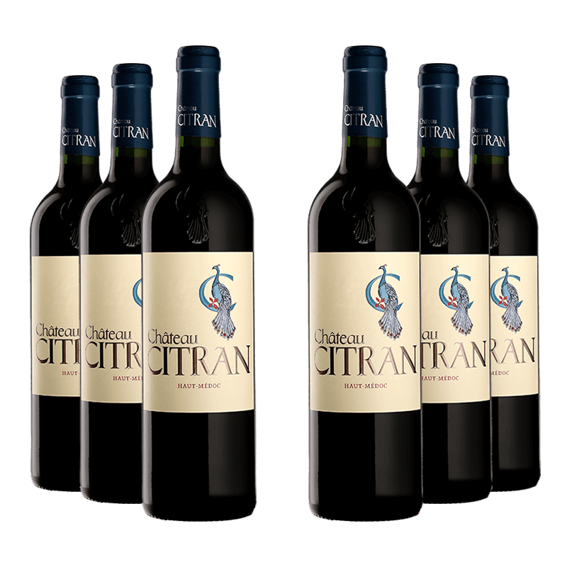 Château Citran 2019 Château Citran Millesima DE