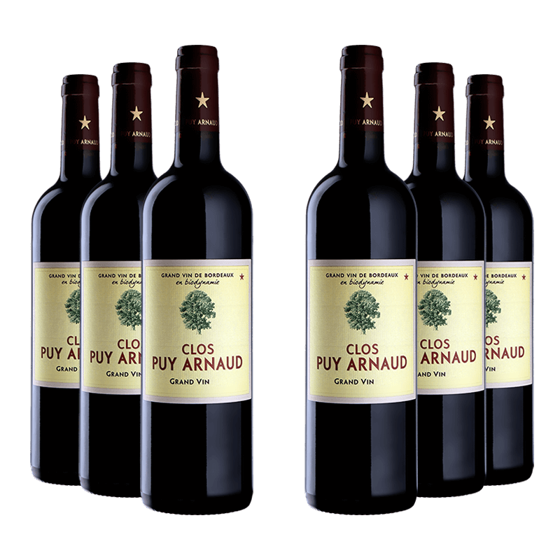 Clos Puy Arnaud 2019 Clos Puy Arnaud Millesima DE