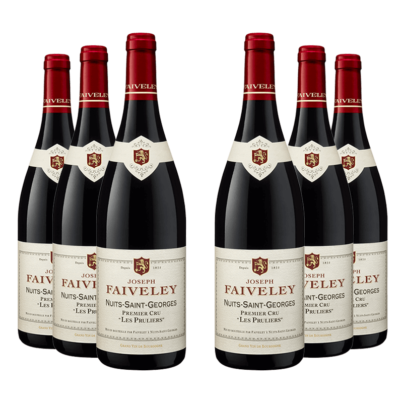 Domaine Faiveley : Nuits-Saint-Georges 1er cru 