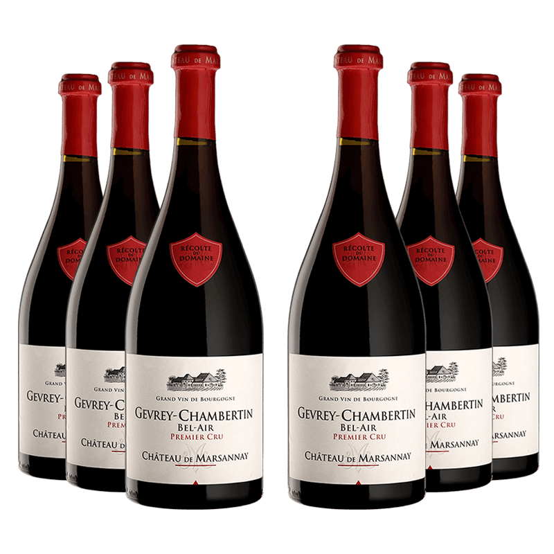 Château de Marsannay : Gevrey-Chambertin 1er cru 