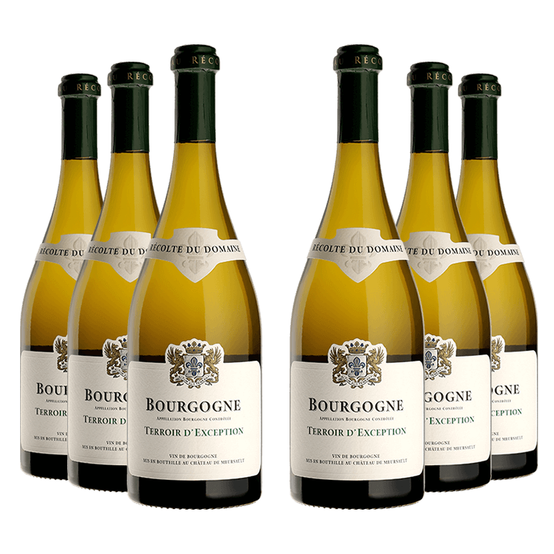 Domaine du Château de Meursault : Bourgogne Terroir d%27Exception 2022 Domaine du Château de Meursault Millesima DE