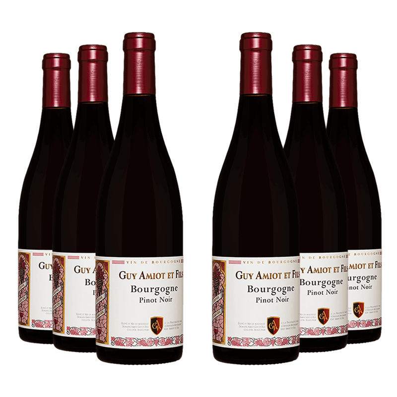 Domaine Guy Amiot et Fils : Bourgogne Pinot Noir 
