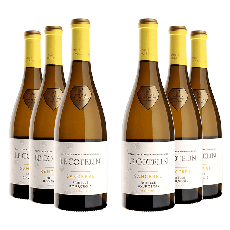 Domaine Henri Bourgeois : Le Cotelin 2019 Domaine Henri Bourgeois Millesima DE