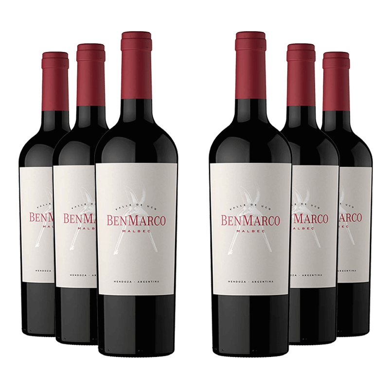 Susana Balbo : BenMarco Malbec 2021 Susana Balbo Millesima DE