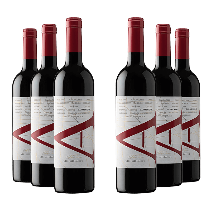 VIK A Carmenere 2021 VIK Millesima DE