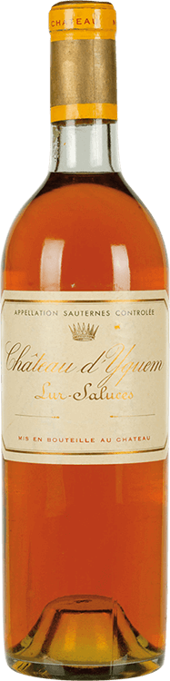 Buy Château d'Yquem 1981 - Millesima.com
