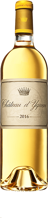 Chateau d’Yquem 2016 750ml ソーテルヌ ディケム 1082_2016_c.png