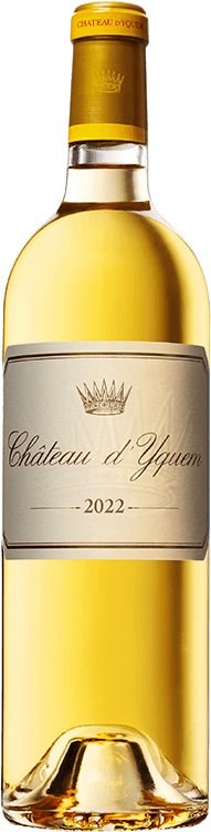 Buy Chateau d'Yquem 2022 wine online | Millesima