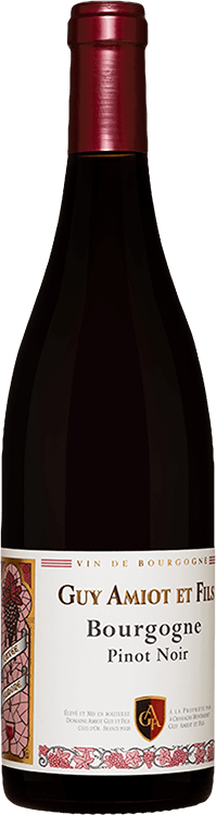 Domaine Guy Amiot et Fils : Bourgogne Pinot Noir 