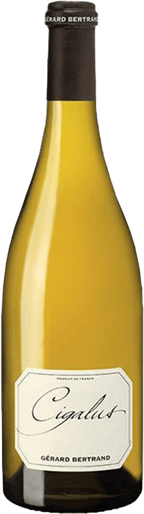 Gérard Bertrand : Cigalus 2022 - Millesima.com