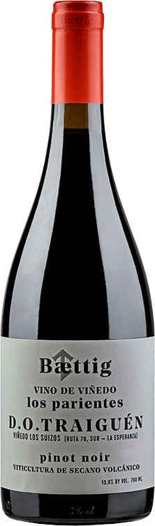 Baettig : Vino Viñedo 