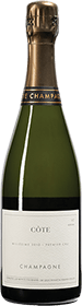 Domaine Les Monts Fournois : "Côte Vertus" Blanc de Blancs Extra Brut 2010