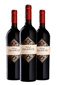 Caisse Viñedo Chadwick Vertical Library Edition 2023