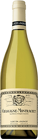 Louis Jadot : Chassagne-Montrachet Village 2022 Louis Jadot : Chassagne-Montrachet Village 2022