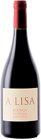 Bodega Noemia : A Lisa Malbec 2023