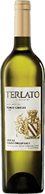 Terlato Vineyards : Pinot Grigio 2022