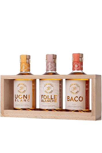 Delord : Coffret Cépages Armagnacais Delord : Coffret Cépages Armagnacais