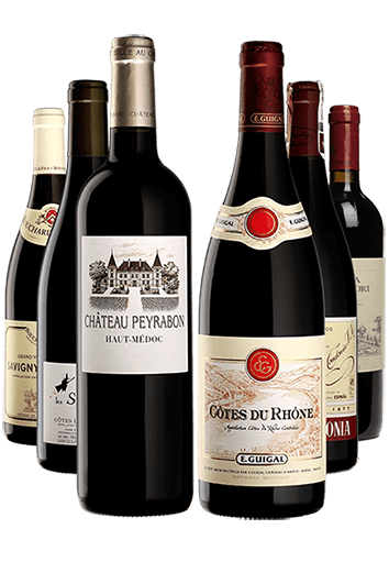 Ready-to-Drink Red Wines Selection Case