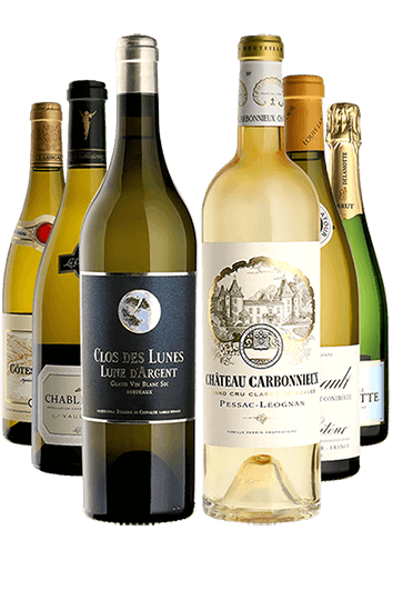 Ready-to-Drink White Wines Selection Case