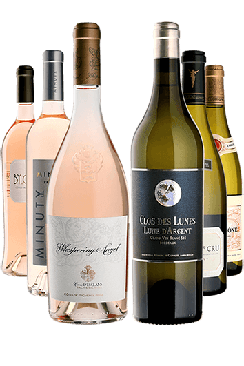 Ready-to-Drink White and Rosé Wines Selection Case