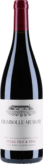 Dujac : Chambolle-Musigny Village Domaine 2019