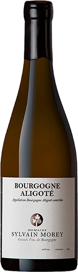 Domaine Sylvain Morey : Bourgogne Aligoté 2023 Domaine Sylvain Morey : Bourgogne Aligoté 2023