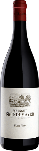 Weingut Bründlmayer : Pinot Noir Langenlois 2017