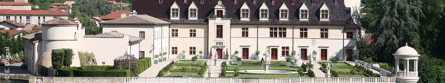 Voir plus