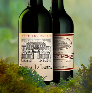 20% discount per 2 cases or more