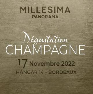 Panorama Champagne