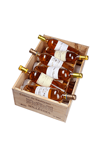 Crème de Sauternes tasting case 2003