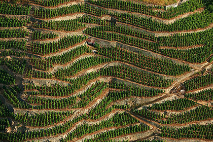 Côtes du Rhône 