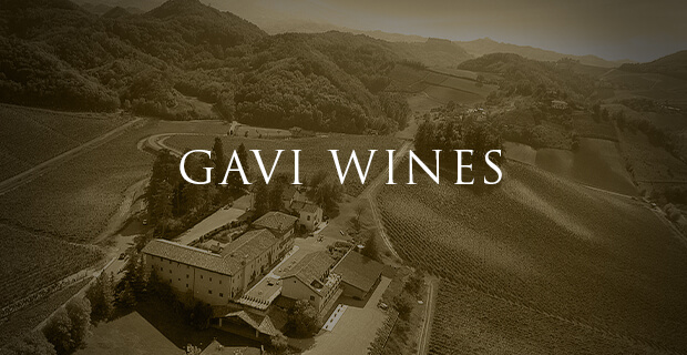 Gavi wine