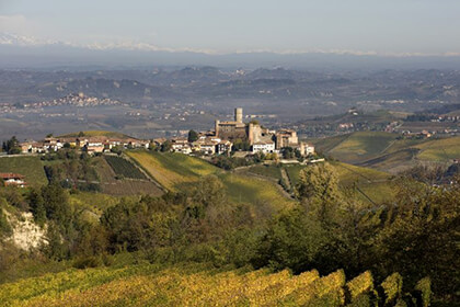 Barbaresco wines