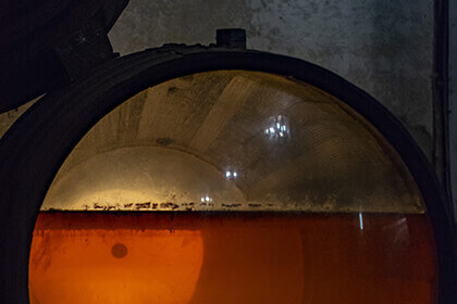 Sherry aging; Veil of Flor