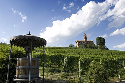 Barolo winemaking