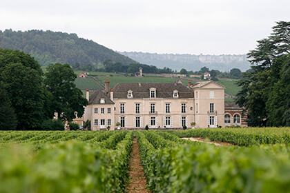 Château de Meursault à Meursault en Bourgogne 