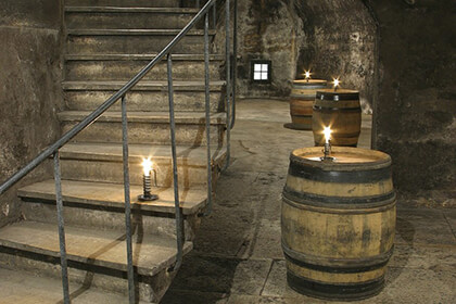 Chai à barriques Domaine Chanson Bourgogne 